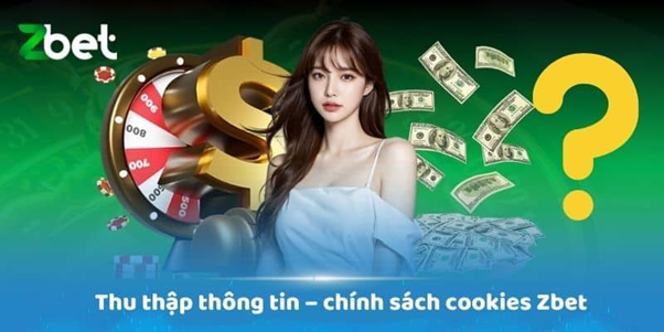 Chính sách về việc sử dụng cookies và thu thập thông tin