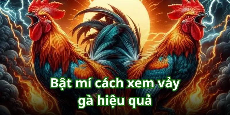 Cách xem vày gà hiệu quả giúp game thủ chinh phục nhà cái Zbet