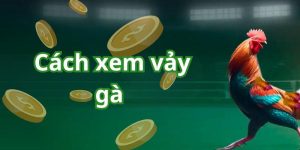 cách xem vảy gà đá