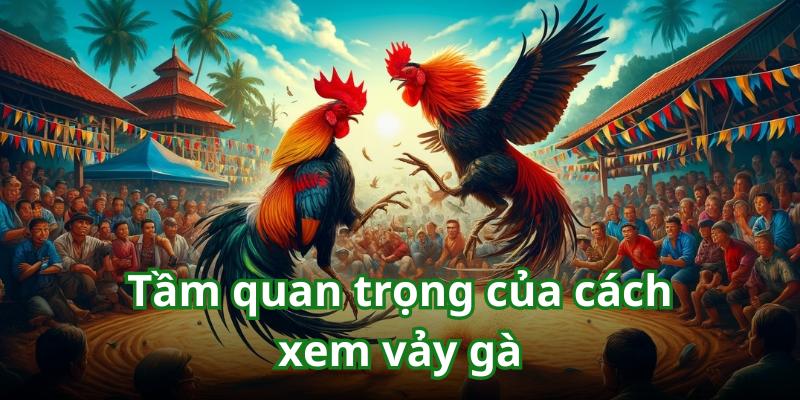 Kỹ thuật xem vảy gà đóng vai trò quan trọng trong hoạt động cá cược